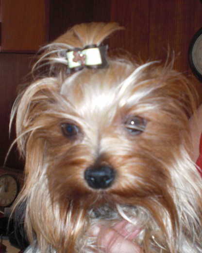 guapo a reventar